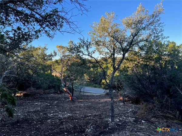 Canyon Lake, TX 78133,340 Ledgeview DR