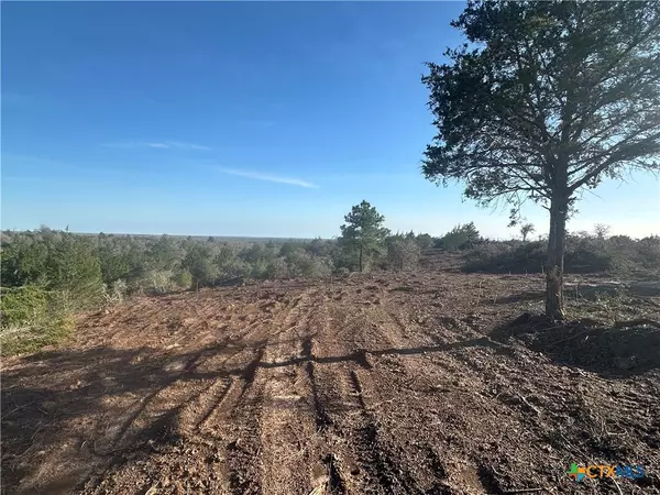 Harwood, TX 78632,TBD Sandy Fork RD