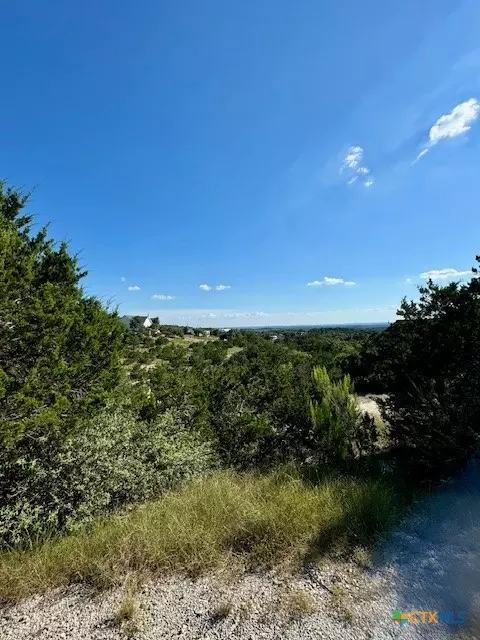 Canyon Lake, TX 78133,195 Bluebonnet Breeze