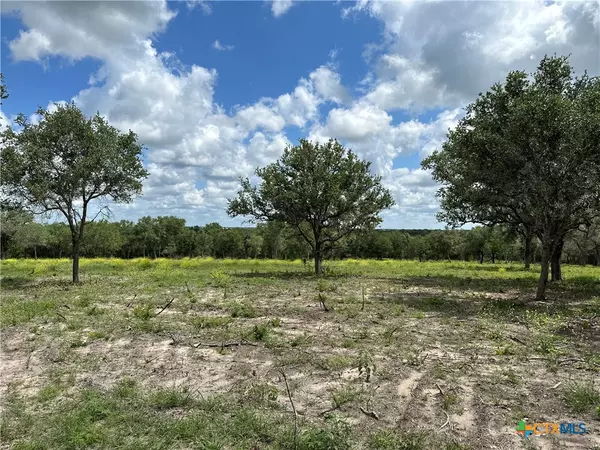 Goliad, TX 77963,TBD FM 1351