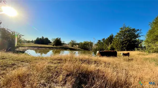 Franklin, TX 77856,9201 FM 2096 (+/- 44.13 acres)