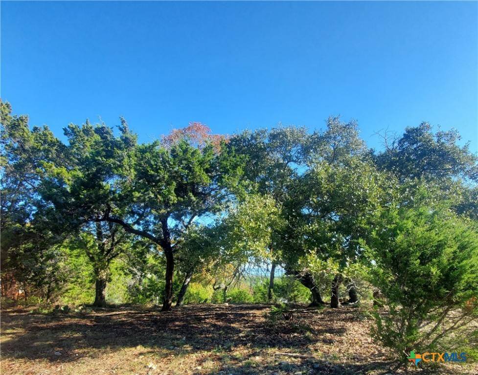 Canyon Lake, TX 78133,152 Mountainview DR