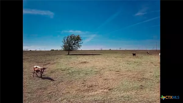 Shiner, TX 77984,1052 County Road 368