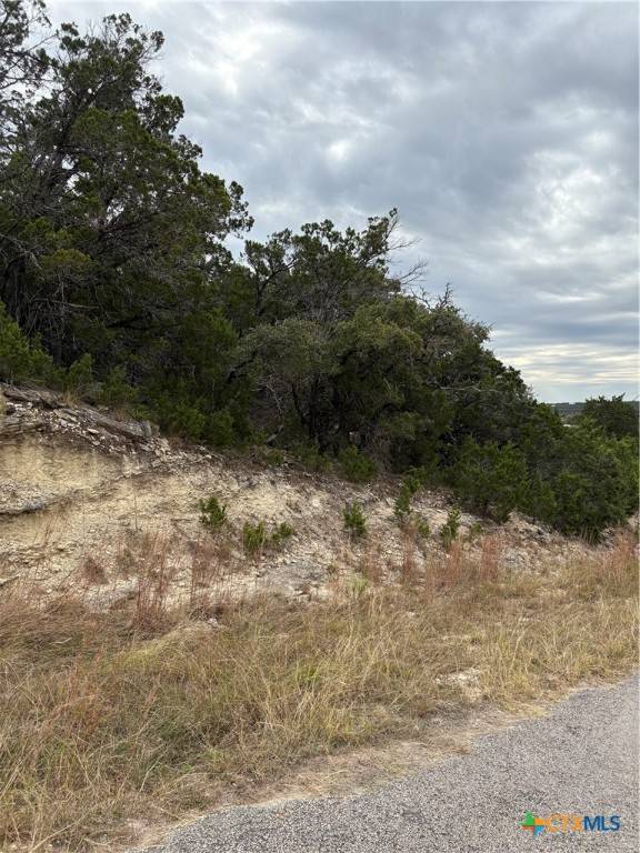 2660 Rocky Ridge LOOP, Canyon Lake, TX 78133