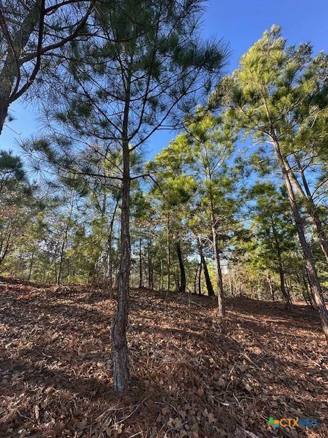 Bastrop, TX 78602,0 TBD Hana Ct.