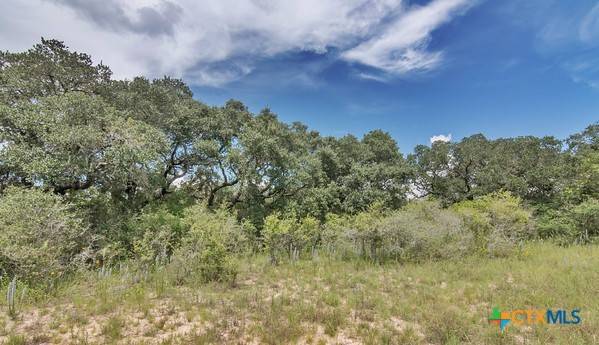 Tract 10 PR 4061, Edna, TX 77957