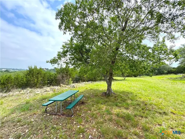 Canyon Lake, TX 78133,726 Caballo TRL