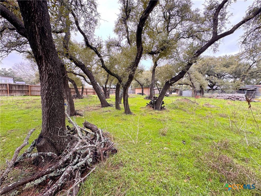 Canyon Lake, TX 78133,TBD Irene DR