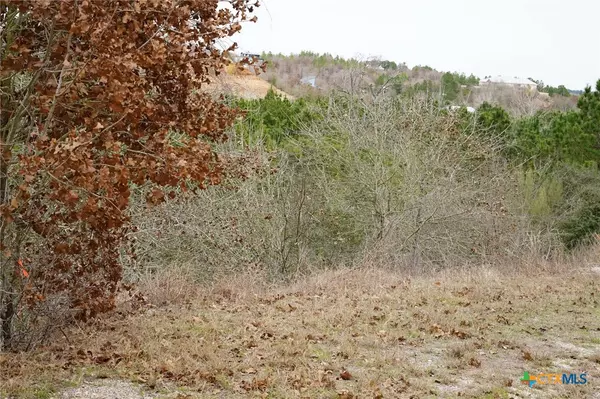 Bastrop, TX 78602,TBD Lot 858 Mamalu DR