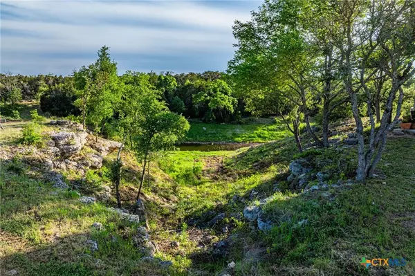 Dripping Springs, TX 78620,3003 Pursley Rd