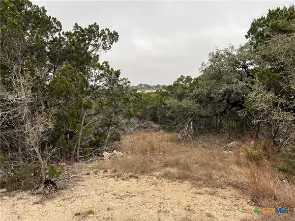 713 Stagecoach, Spring Branch, TX 78070