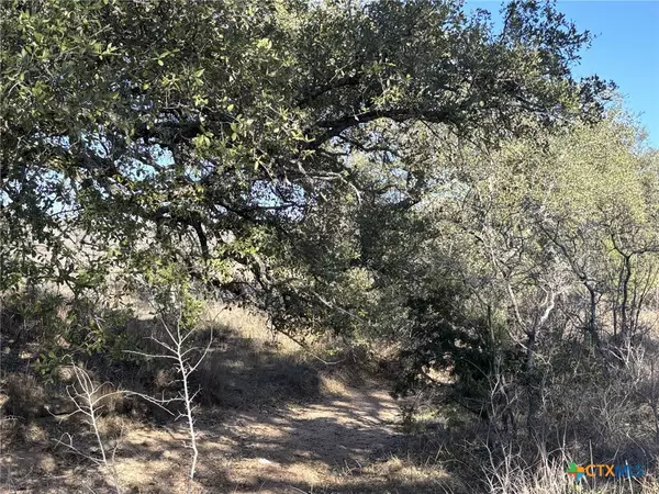 241 Lehne LOOP,  Buchanan Dam,  TX 78609