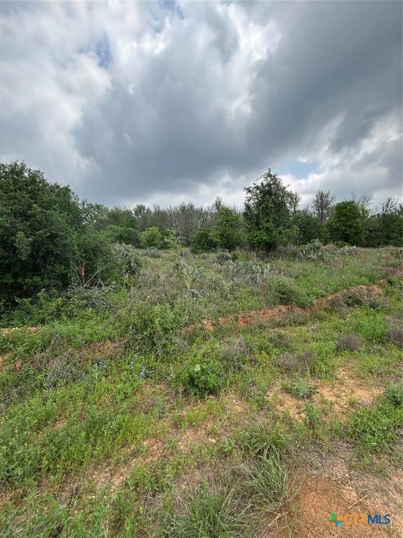 Bastrop, TX 78602,316 Kahana LN