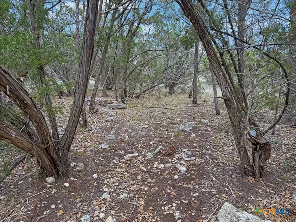 Spring Branch, TX 78070,1081 Dog Leg LN