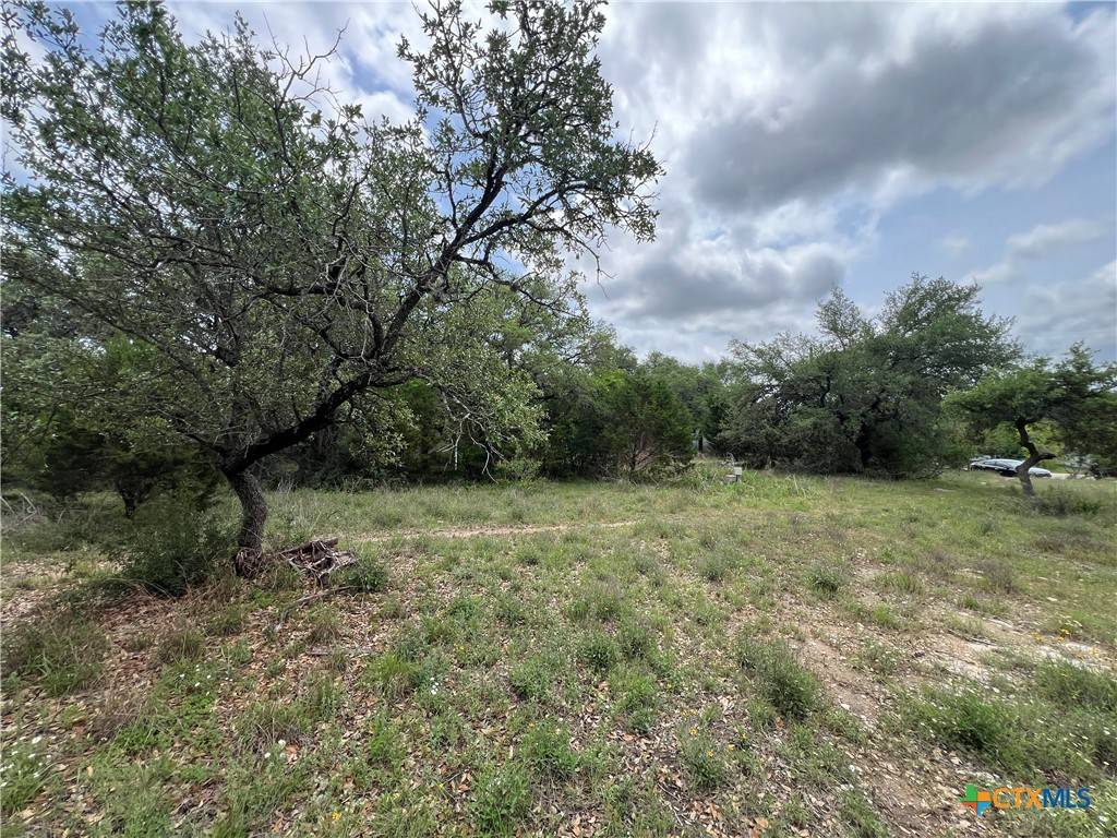 Canyon Lake, TX 78133,572 Wickford WAY