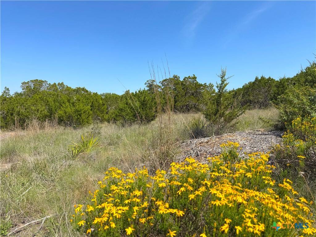 0 TBD San Salvadore, Canyon Lake, TX 78133