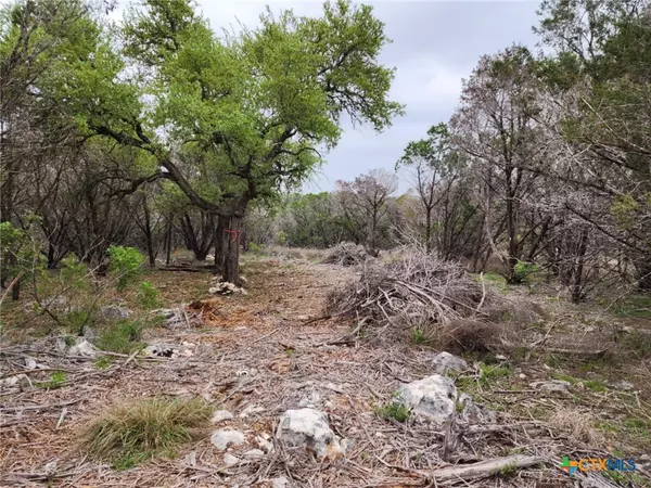 New Braunfels, TX 78132,1745 Moon View DR