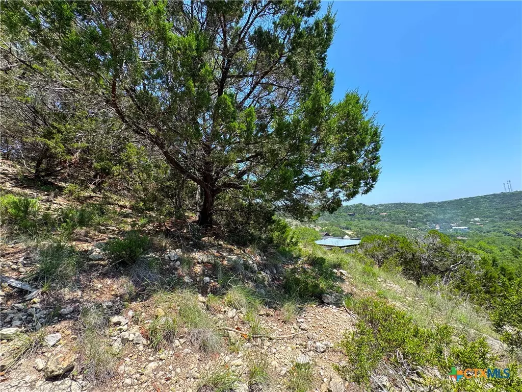 Canyon Lake, TX 78133,612 Dusty Saddle
