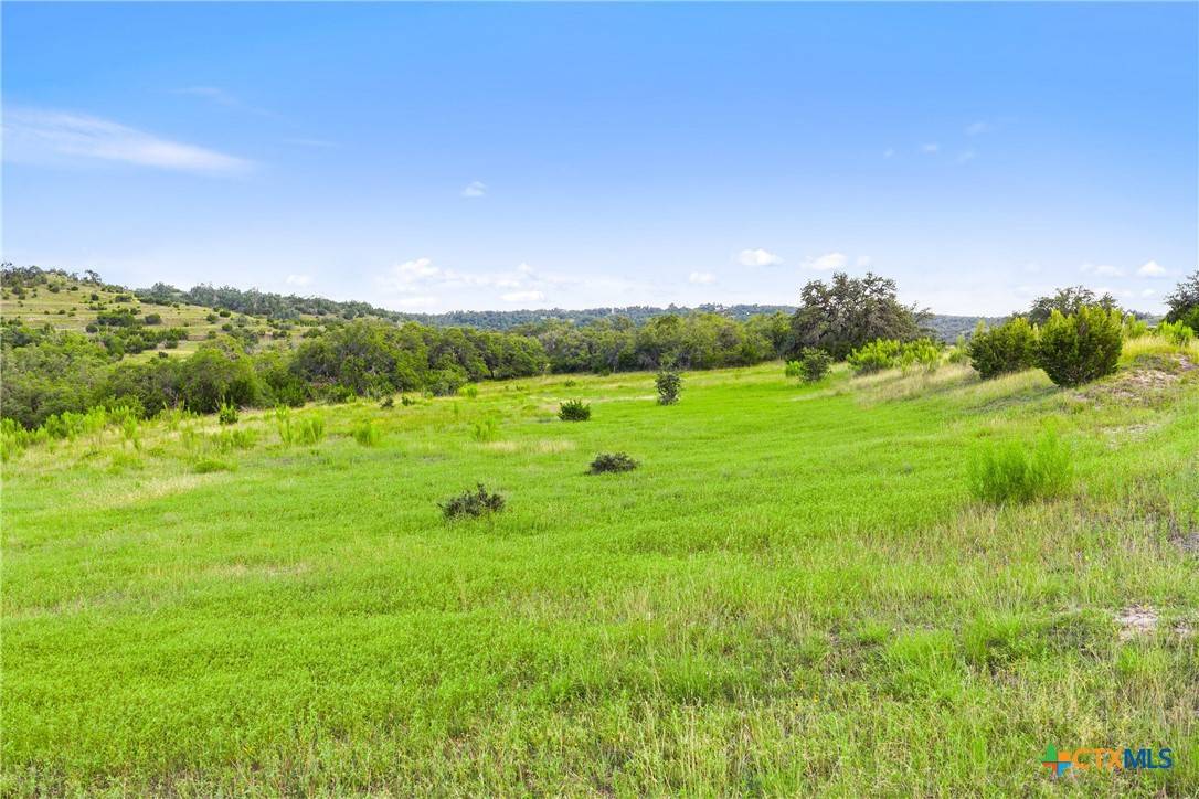 Johnson City, TX 78636,4747 Flat Creek RD