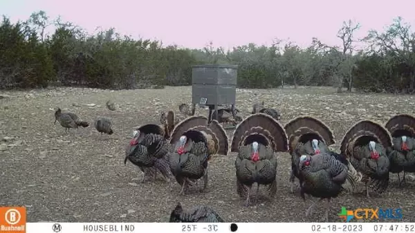 Harper, TX 78631,65 Miles Ln