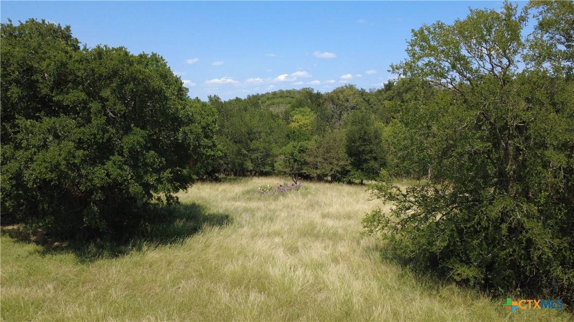 Holland, TX 76534,16176 Audrey LN