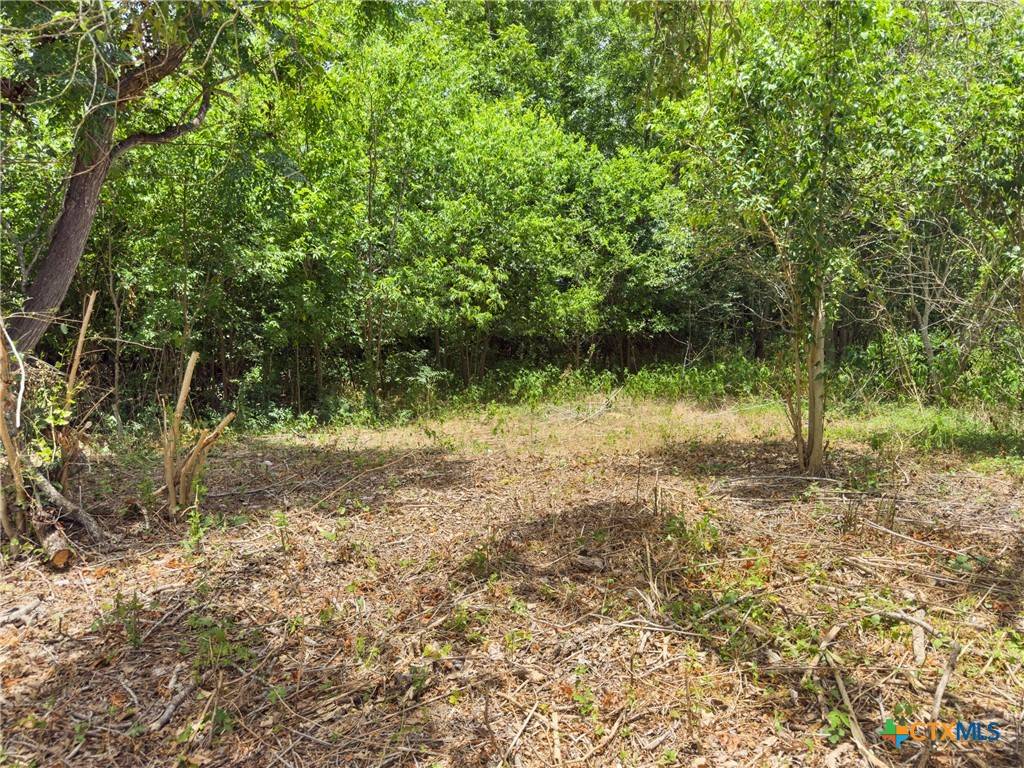 Luling, TX 78648,1140 N Hackberry AVE