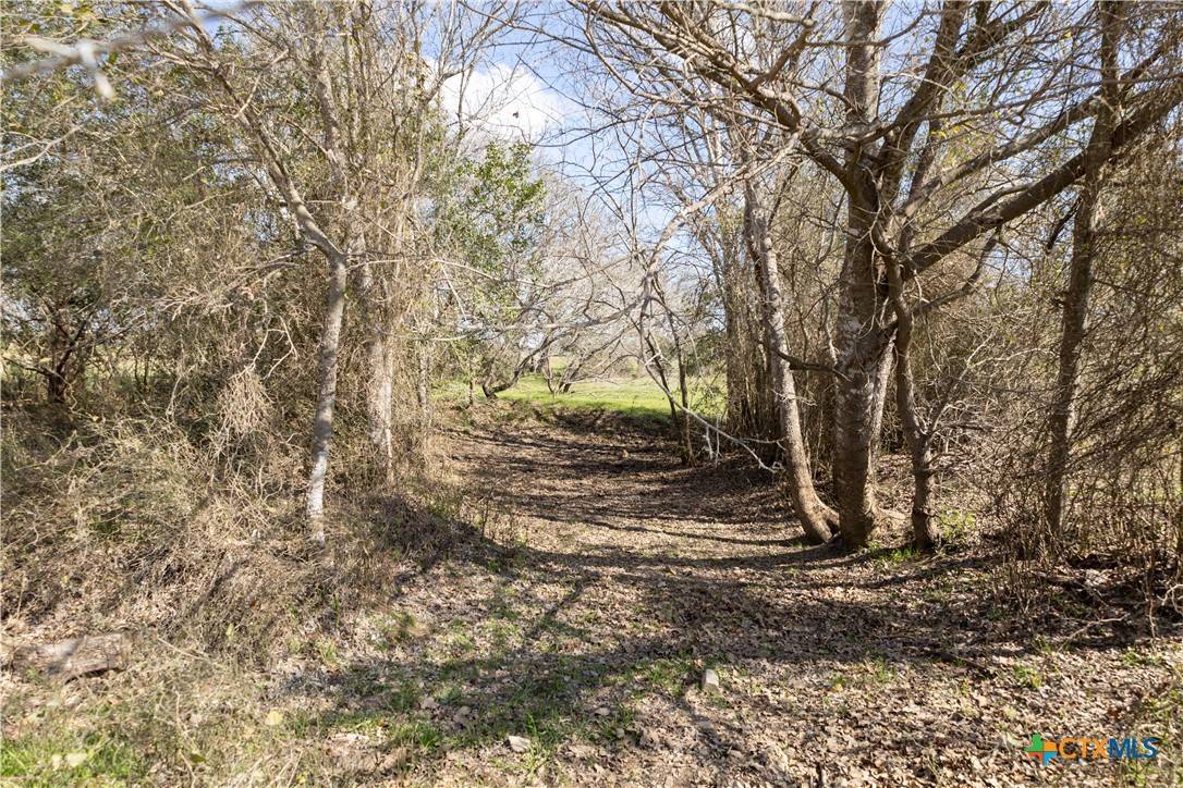 Harwood, TX 78629,Lot 11 Mule Creek RD