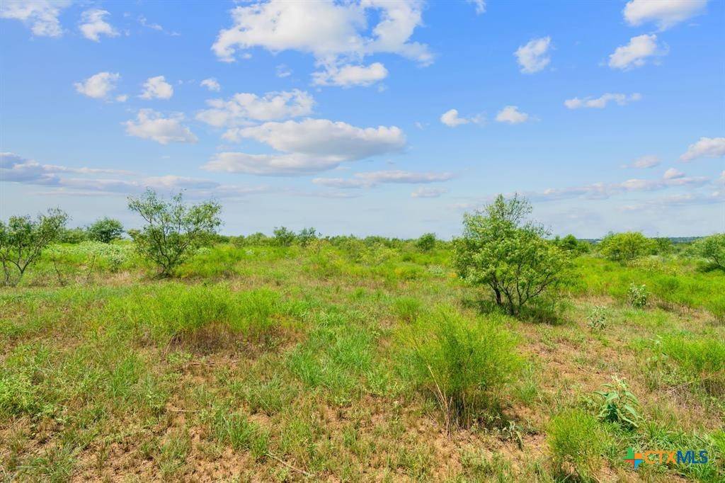 Harwood, TX 78629,Lot 3 Cr 280