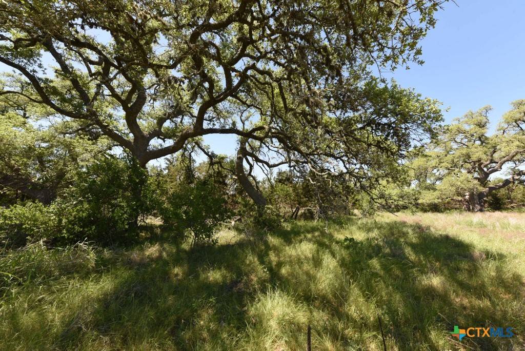 Spring Branch, TX 78070,431 Oak Haven