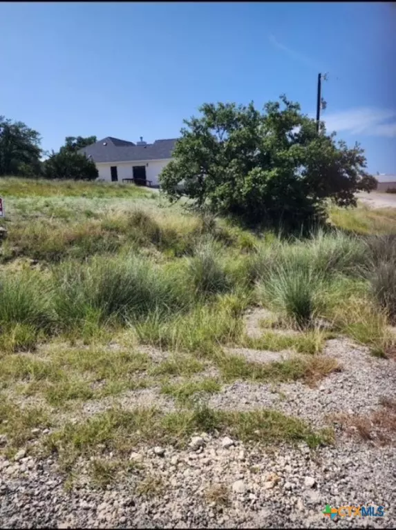 Blanco, TX 78606,0 South Junius