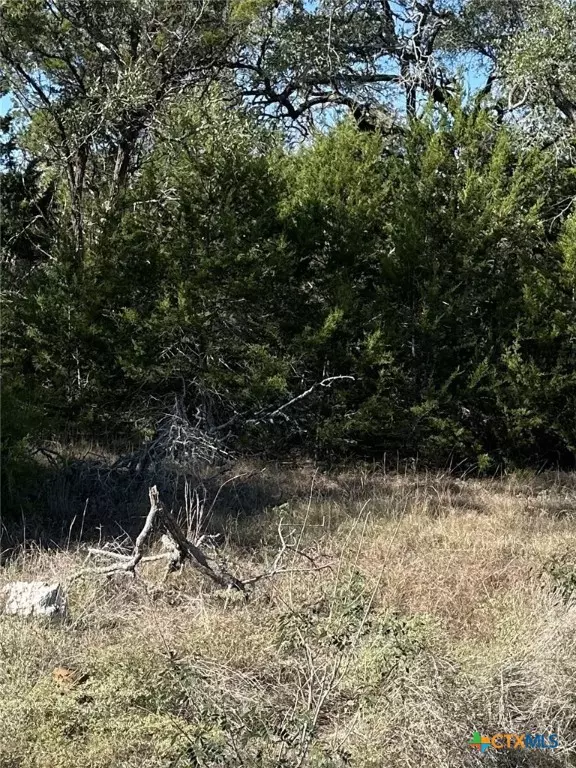 New Braunfels, TX 78132,1215 Powder Ridge RD