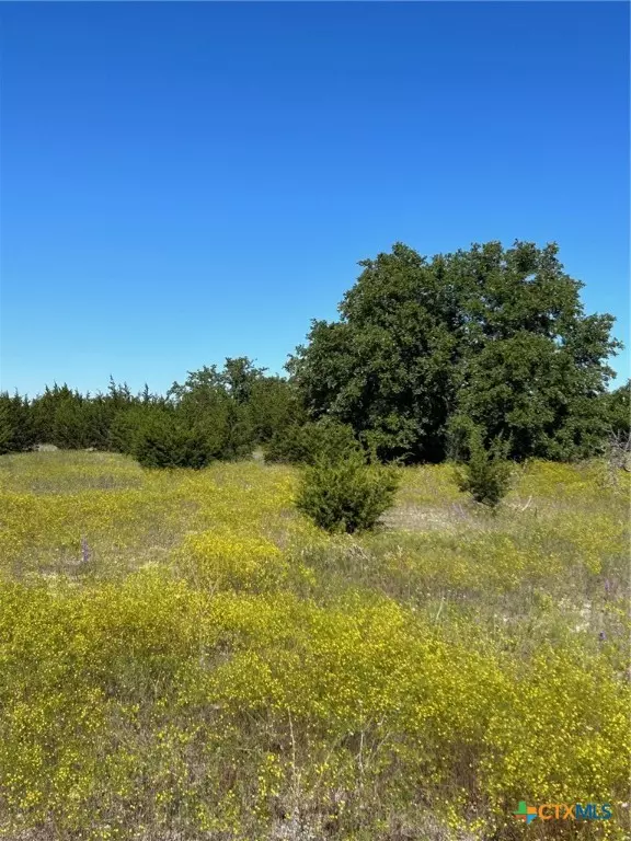 102 Cedar Bluff Loop, Gatesville, TX 76528