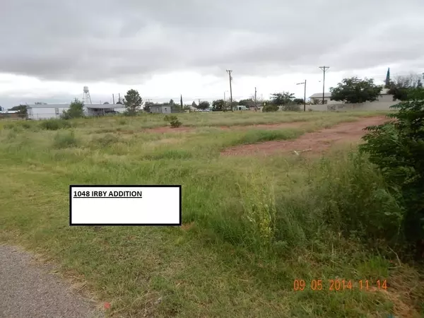 1048 PARCEL # 1048 IRBY ADDITION ST, Van Horn, TX 79855