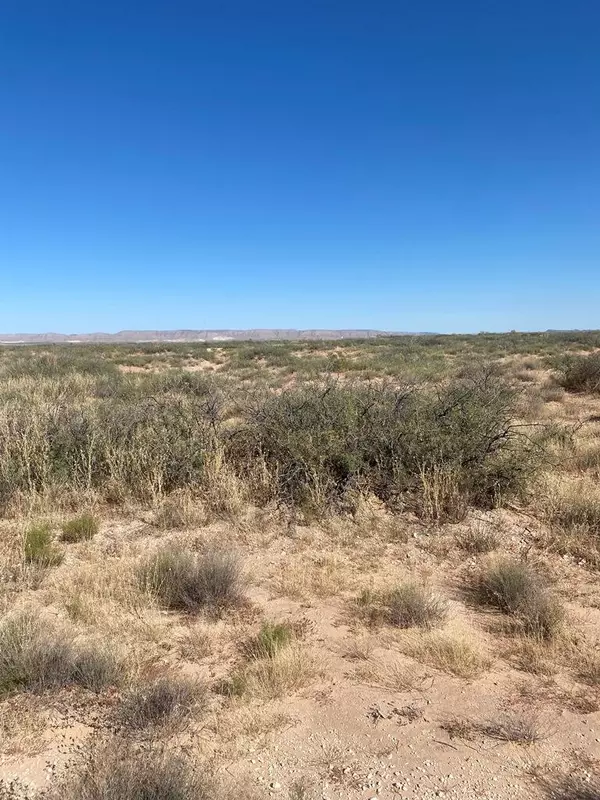 Horizon City, TX 79928,TBD Mountain Shadow Estates #47 L6