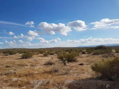 Horizon City, TX 79928,0 Leonora