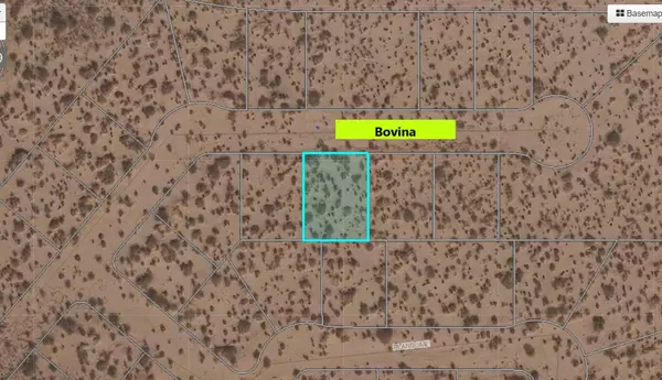 Horizon City, TX 79928,5 Bovina