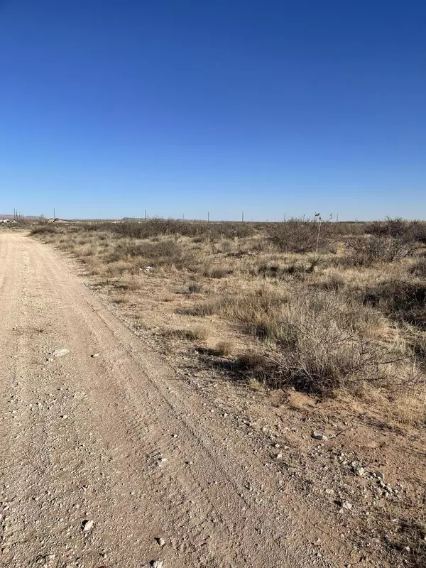 Clint, TX 79836,TBD Klein CT