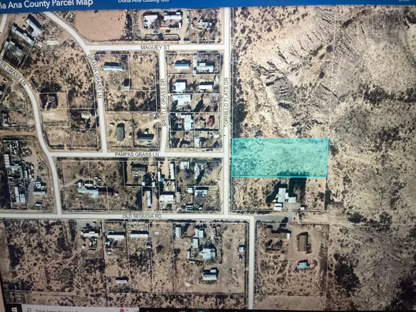 Chaparral, NM 88081,205 TORNILLO FLATS DR