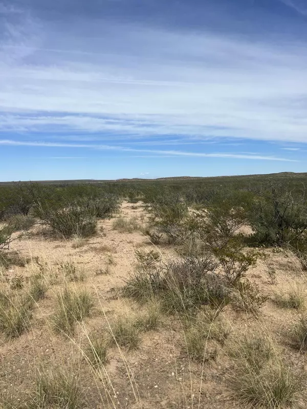 Sierra Blanca, TX 79851,TBD 76 TSP 4 SEC 8 SUNSET RANCHES