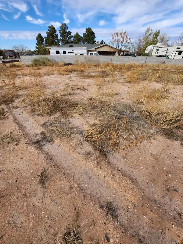 Clint, TX 79938,3780 Vander Veer DR