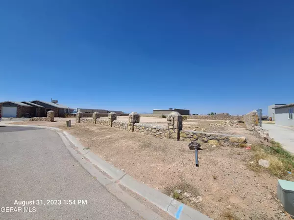 Horizon City, TX 79928,14405 TEICHELKAMP DR