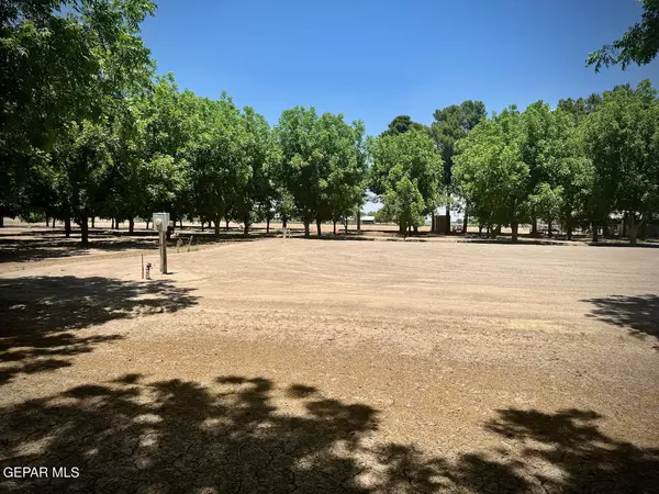 Anthony, NM 88021,4695 Page Farm CIR