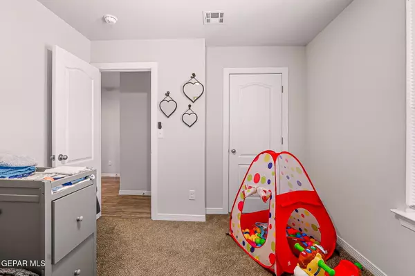 Horizon City, TX 79928,1021 Cattail LN