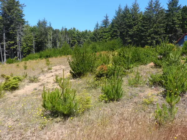 Waldport, OR 97394,TL 1 SE Wakeetum ST