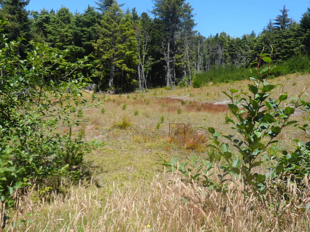 Waldport, OR 97394,TL 1 SE Wakeetum ST