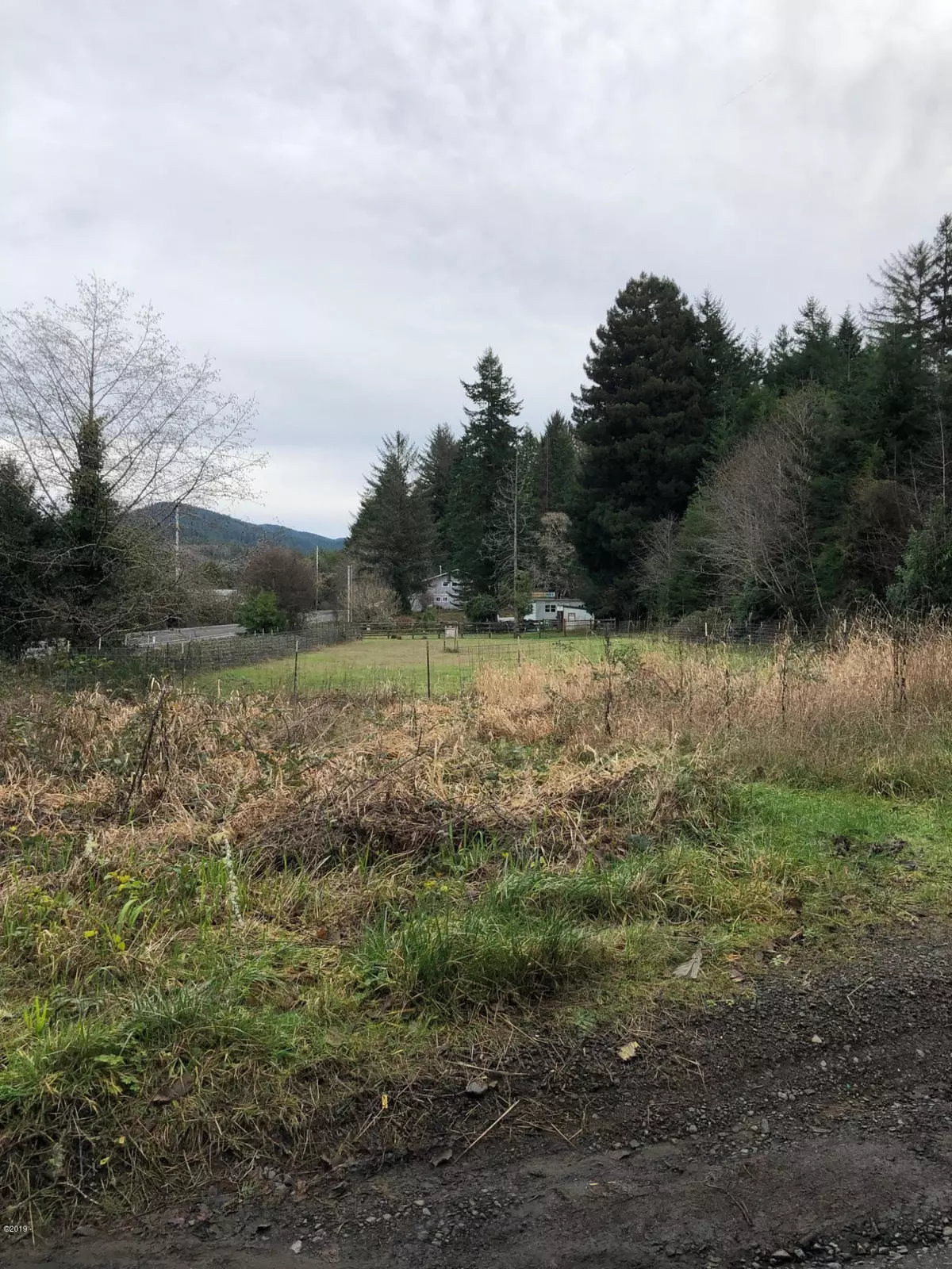 Waldport, OR 97394,TL 2500 E Castle RD