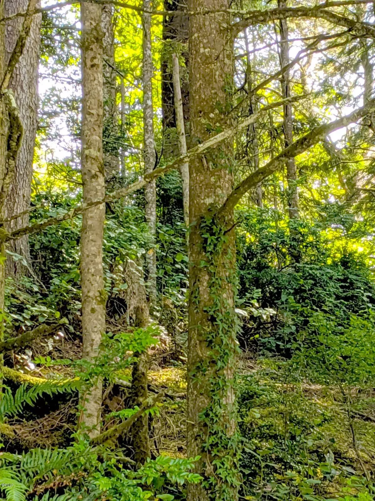 Waldport, OR 97394,820 NW Highland CIR