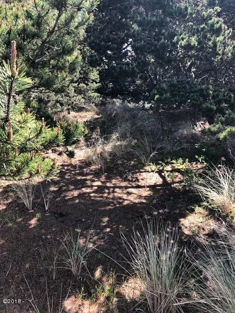 Waldport, OR 97394,1609 NW Oceanview DR