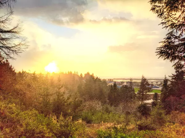 Waldport, OR 97394,Lt 3600 E Waldport Heights RD