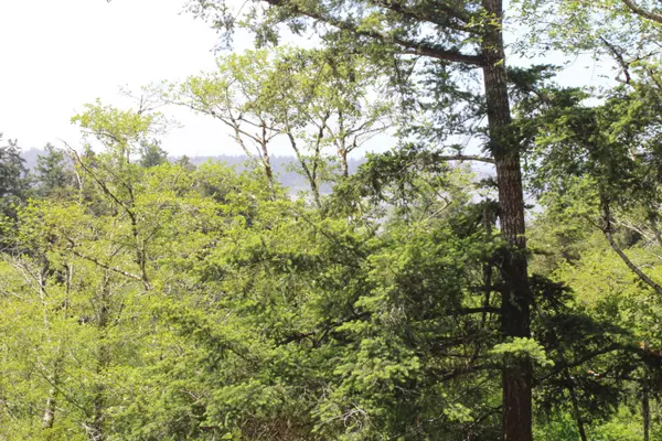 Waldport, OR 97394,T/L1001 Bayview Ct.